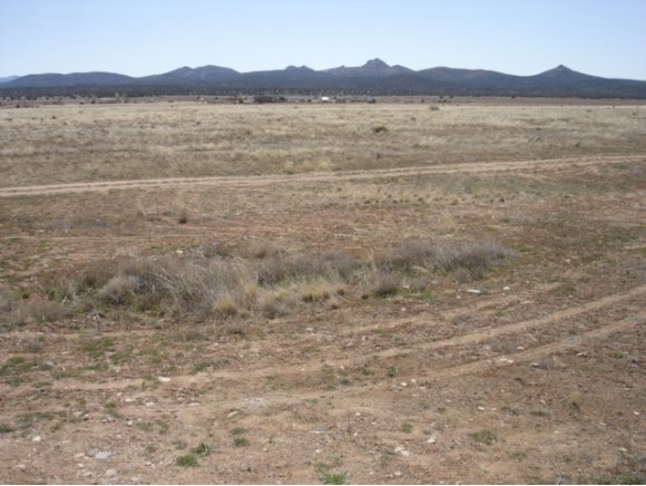 24612 North Big Springs Ranch Road Paulden, AZ 86334 - Photo 11 of 21 Additional Photo