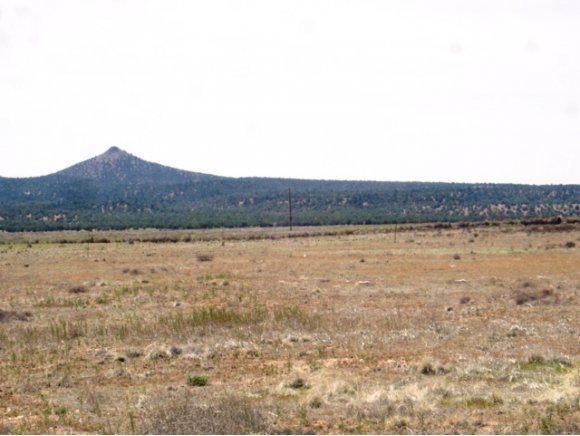24612 North Big Springs Ranch Road Paulden, AZ 86334 - Photo 13 of 21 Additional Photo