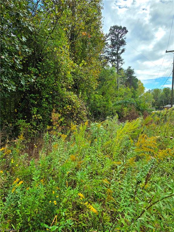 Lot 13 Mountain View Road North Wilkesboro, NC 28659 - Photo 4 of 4