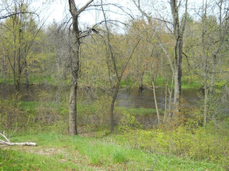10020 Wise Road Greenville, MI 48838 - Photo 1 of 5 Primary Photo
