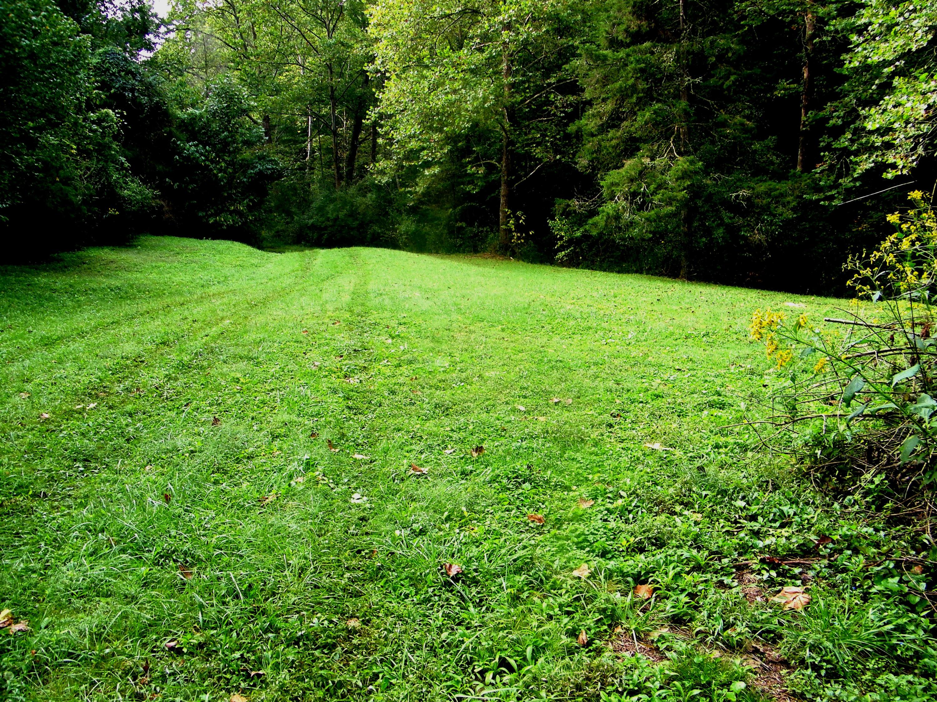 937 Luray Road Dungannon, VA 24245 - Photo 2 of 42 106_1782