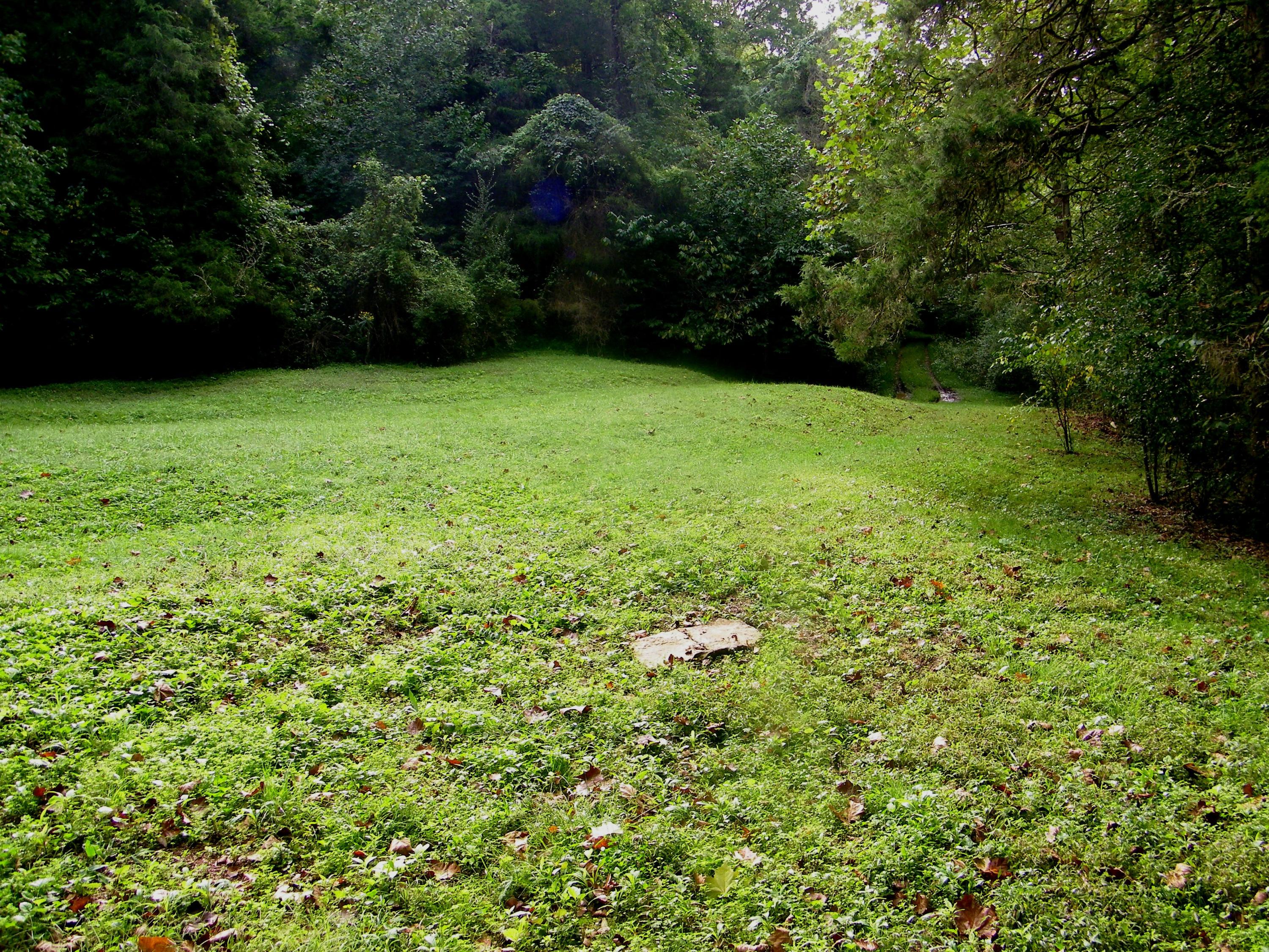 937 Luray Road Dungannon, VA 24245 - Photo 3 of 42 106_1784