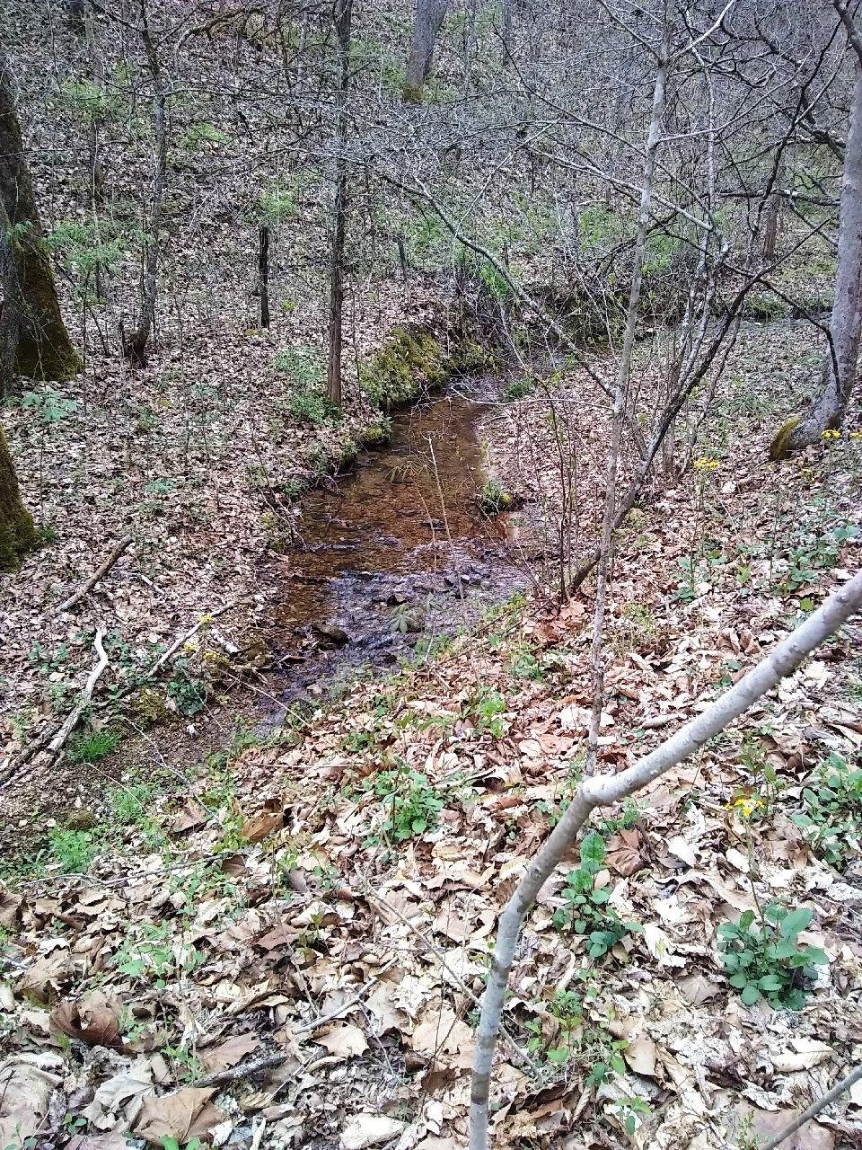 937 Luray Road Dungannon, VA 24245 - Photo 37 of 42 IMG_20200411_172825348