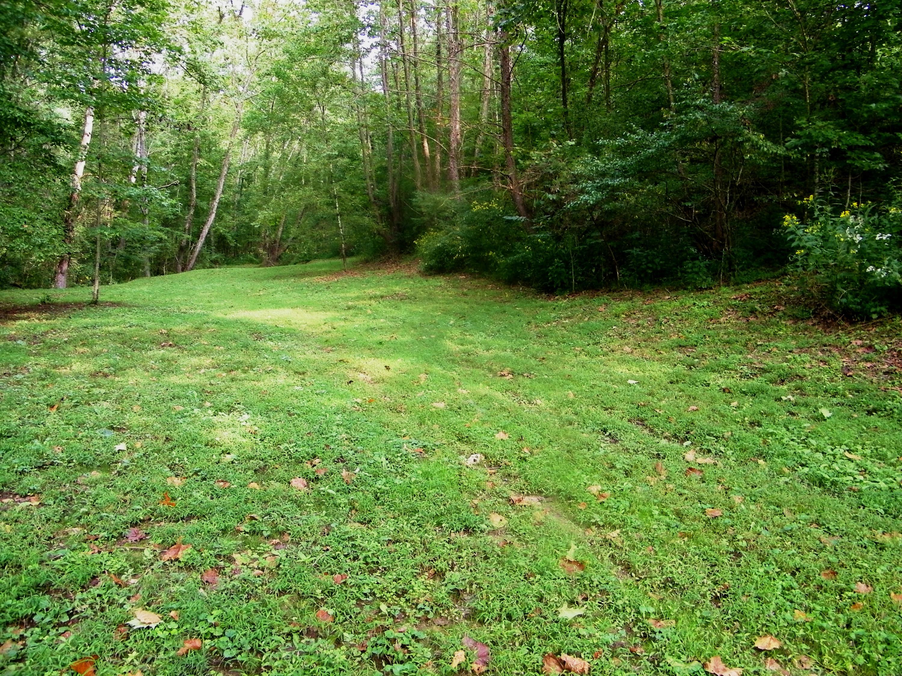 937 Luray Road Dungannon, VA 24245 - Photo 5 of 42 106_1787