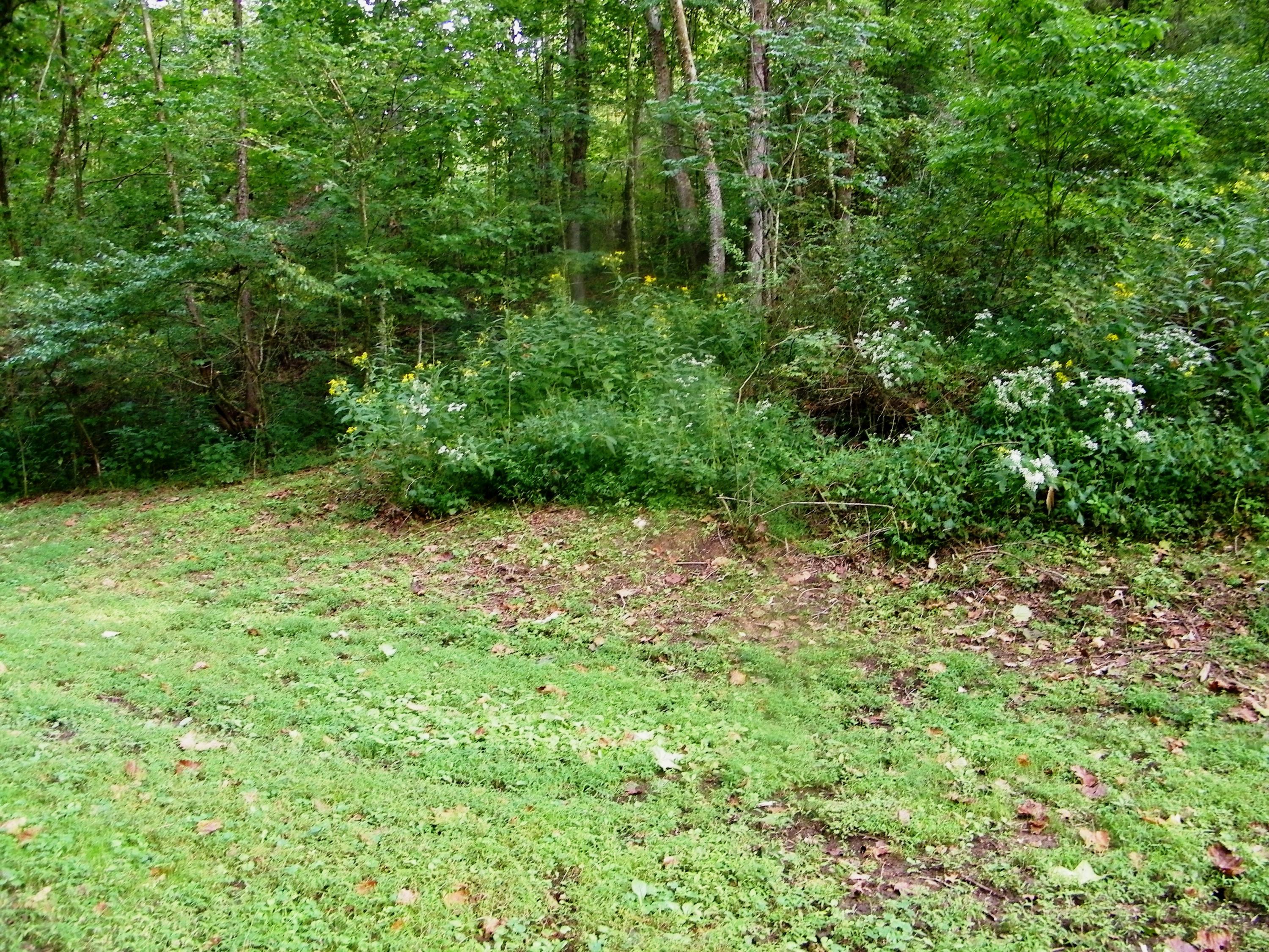 937 Luray Road Dungannon, VA 24245 - Photo 6 of 42 106_1788