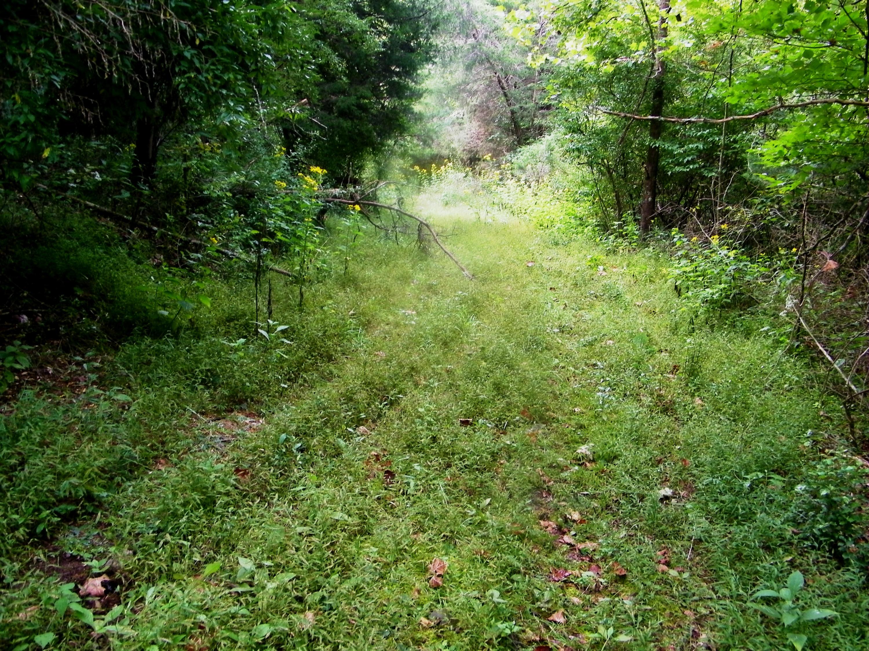 937 Luray Road Dungannon, VA 24245 - Photo 7 of 42 106_1789