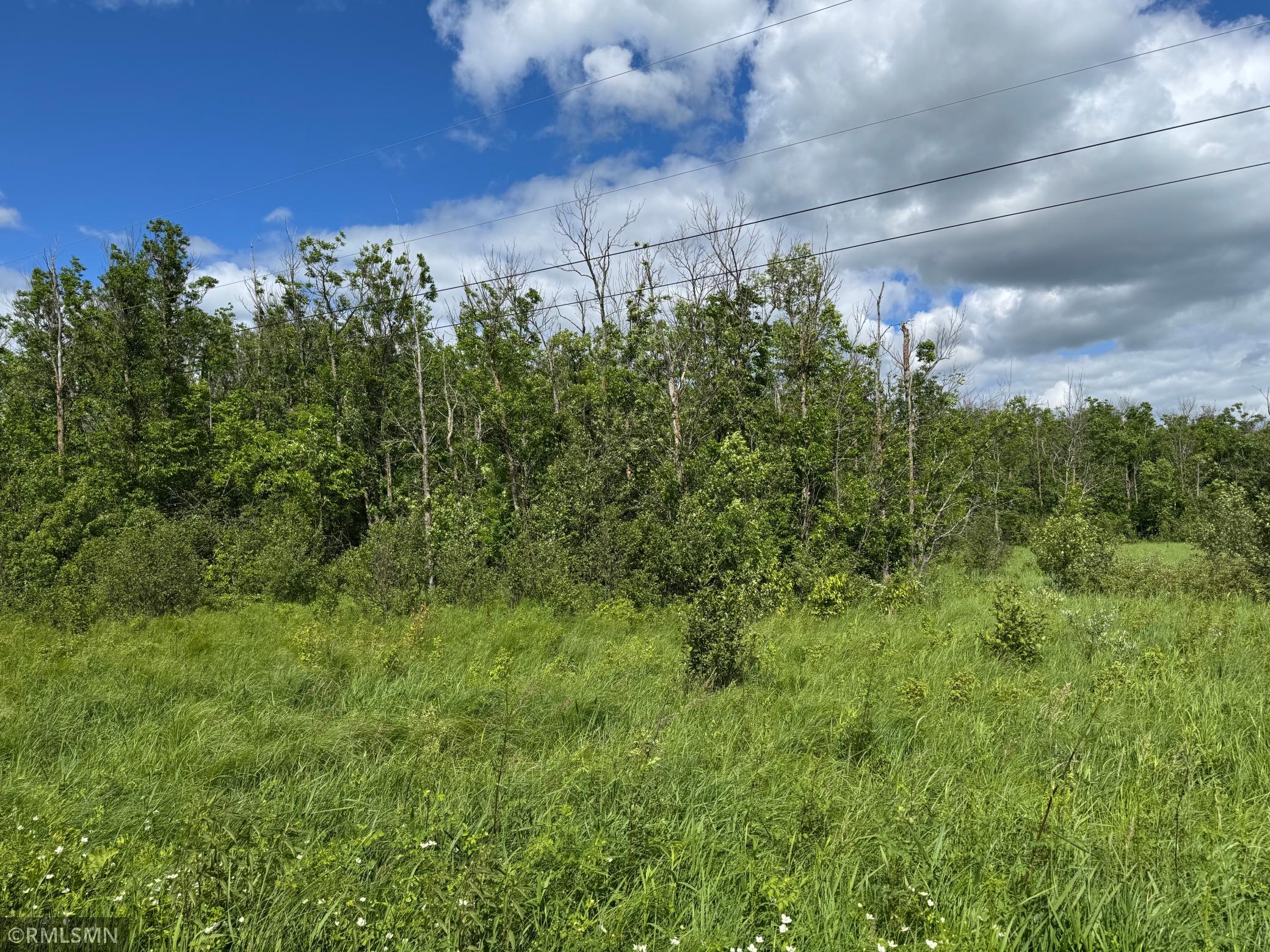 Tbd Mahogany Street Isle, MN 56342 - Photo 9 of 10