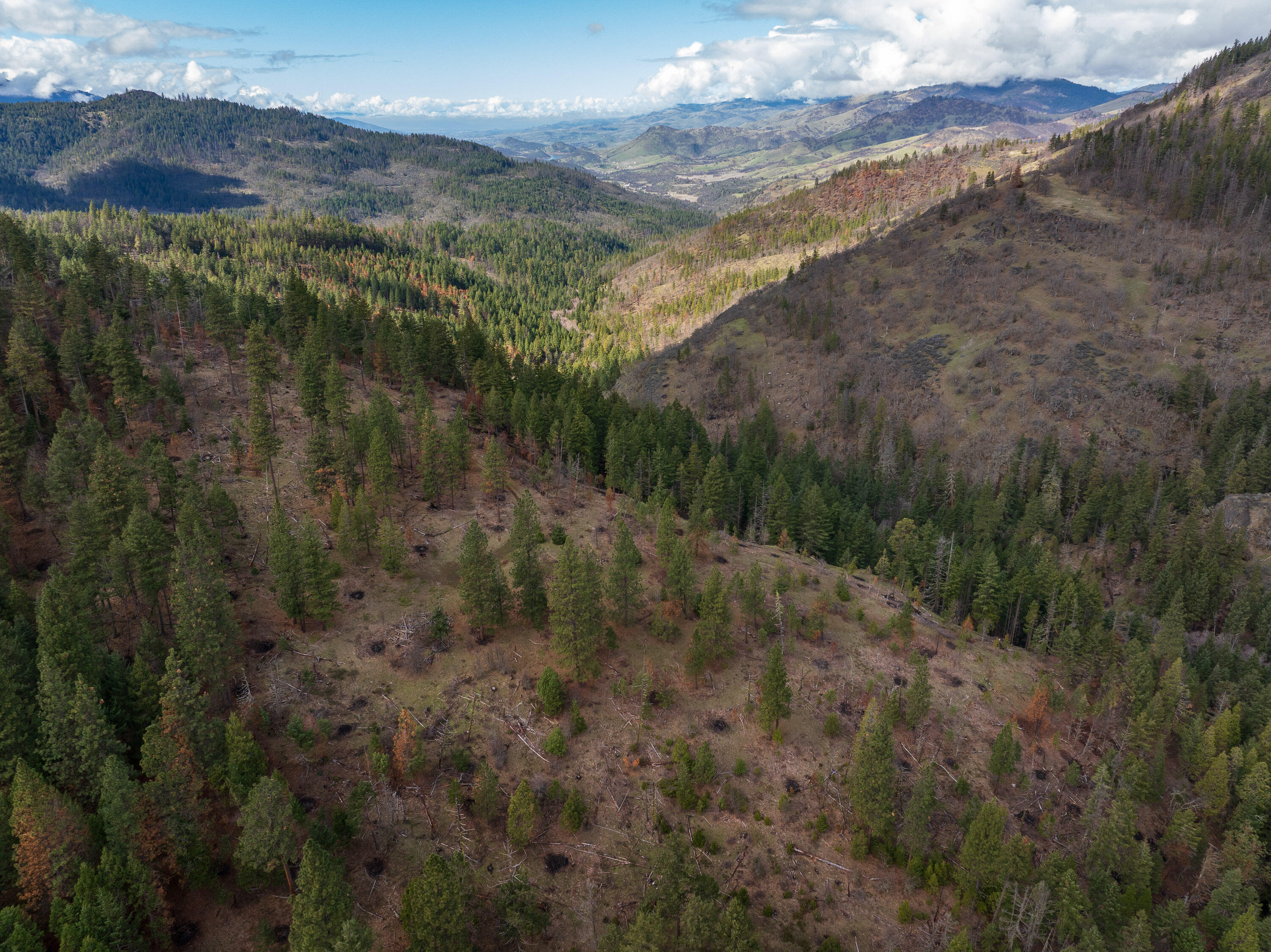 2829 Buckhorn Springs Road Ashland, OR 97520 - Photo 35 of 44 034