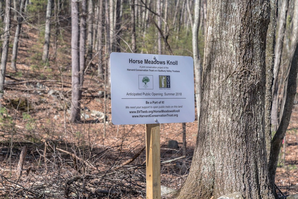 Lot 1 Sherry Road Harvard, MA 01451 - Photo 1 of 4