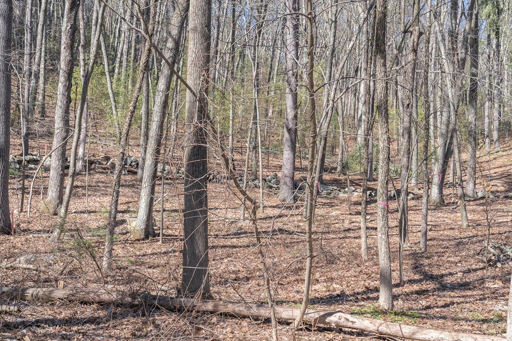 Lot 1 Sherry Road Harvard, MA 01451 - Photo 3 of 4