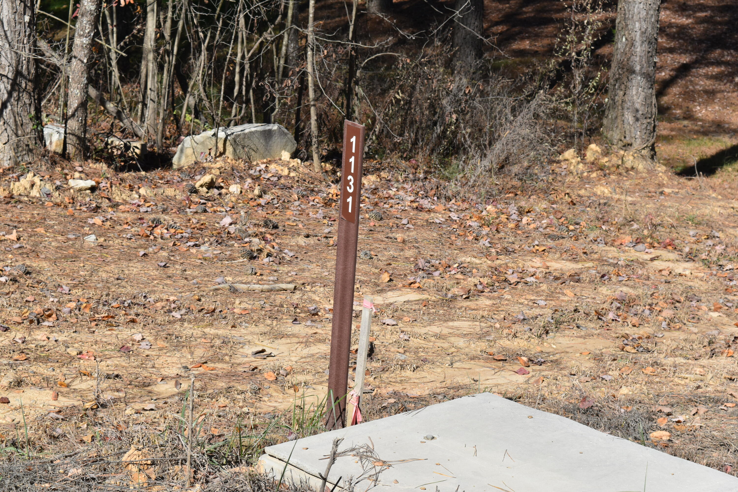 0 Split Rail Way Guild, TN 37340 - Photo 14 of 18 DSC_0025