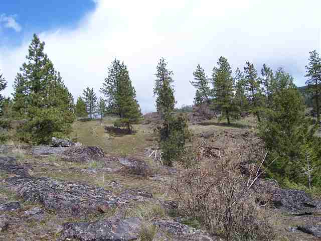 Off Bissell Road Hunters, WA 99137 - Photo 3 of 9