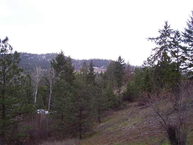 Off Bissell Road Hunters, WA 99137 - Photo 5 of 9
