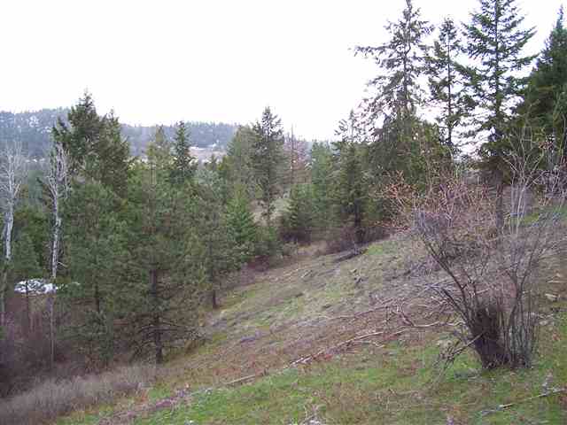 Off Bissell Road Hunters, WA 99137 - Photo 7 of 9
