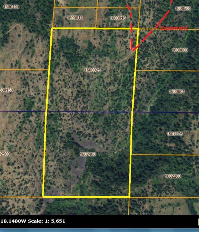 Off Bissell Road Hunters, WA 99137 - Photo 9 of 9
