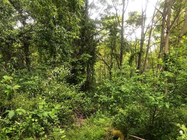 129 Ridgecrest Drive Freeport, PA 16229 - Photo 3 of 7 a view of a lush green forest