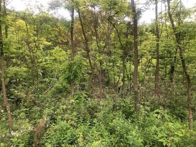 a view of a yard of a building