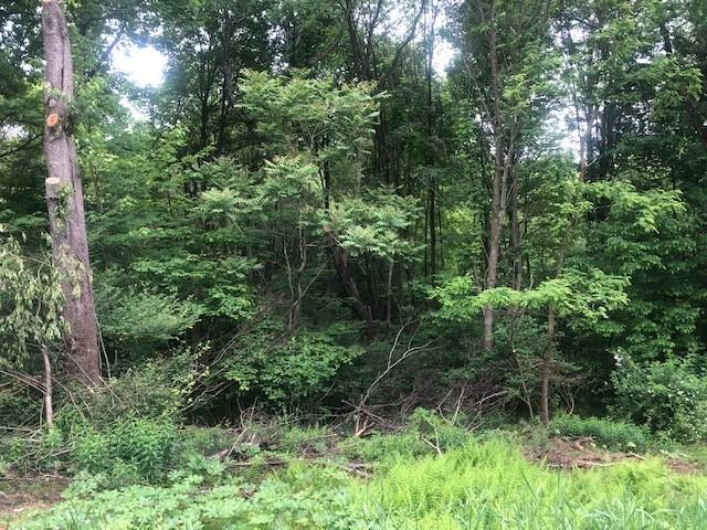 129 Ridgecrest Drive Freeport, PA 16229 - Photo 7 of 7 a view of a lush green forest