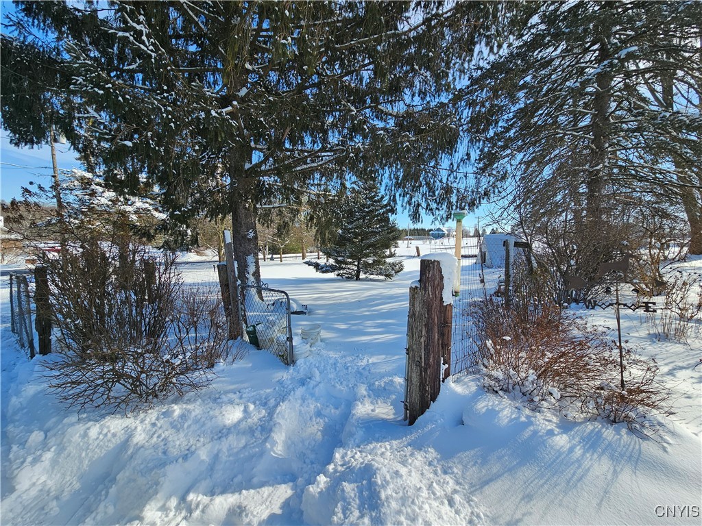 8543 Jericho Road Brutus, NY 13166 - Photo 4 of 39 Fenced in dog area