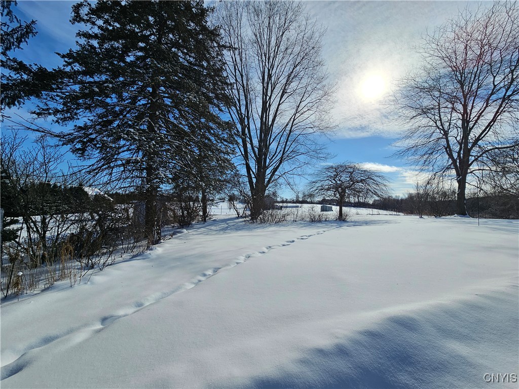 8543 Jericho Road Brutus, NY 13166 - Photo 5 of 39