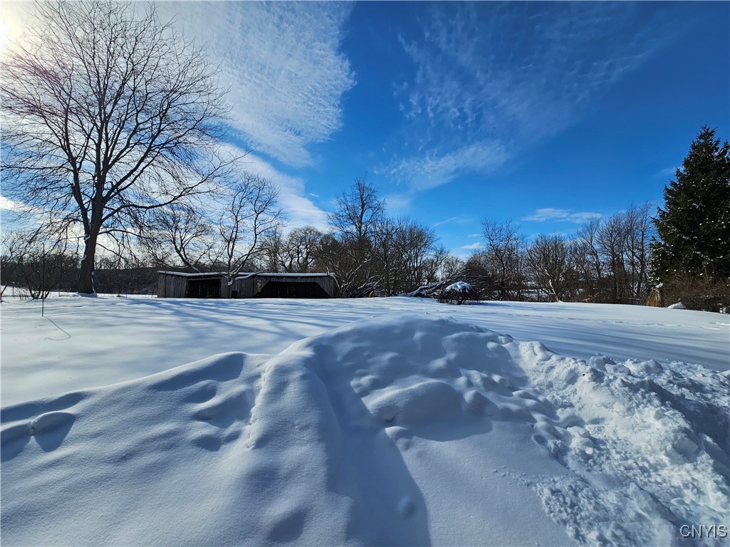 8543 Jericho Road Brutus, NY 13166 - Photo 6 of 39