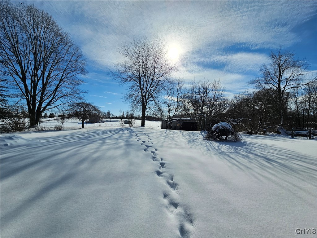 8543 Jericho Road Brutus, NY 13166 - Photo 7 of 39