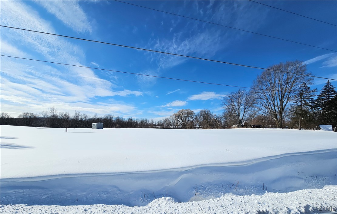 8543 Jericho Road Brutus, NY 13166 - Photo 9 of 39 Additional adjacent acre lot included in sale