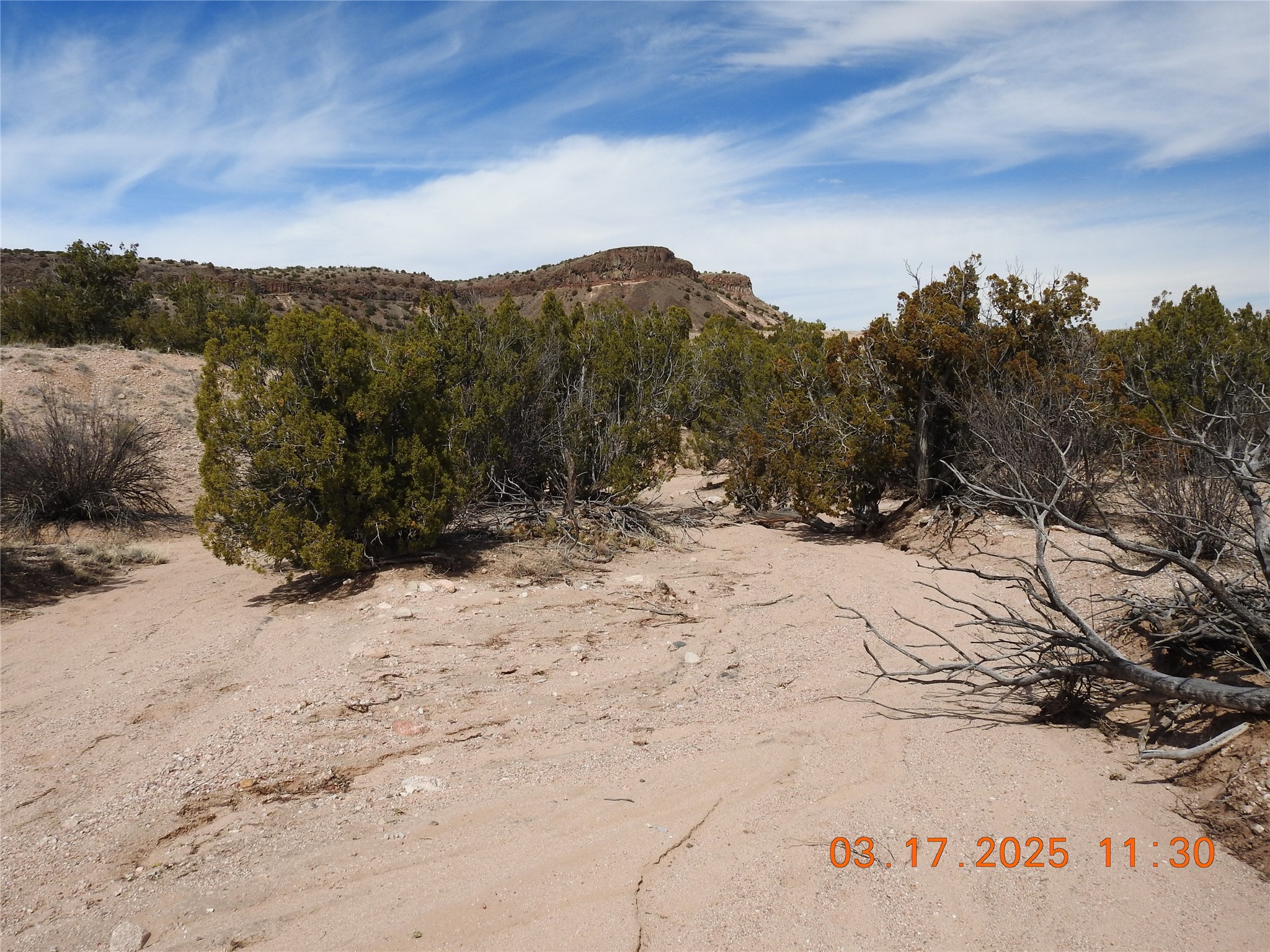0 Wildass Road Santa Fe, NM 87506 - Photo 3 of 26