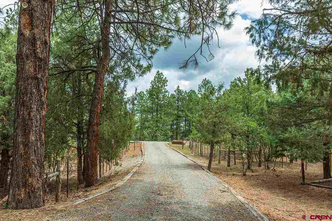 190 Lower Road Durango, CO 81303 - Photo 2 of 35