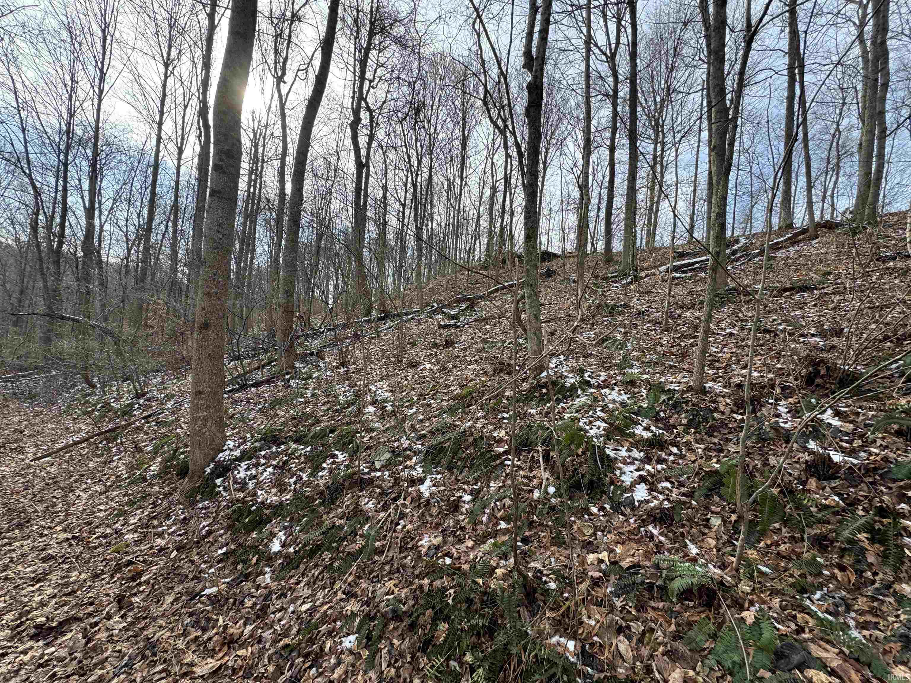 Tbd Huron Pike Road Mitchell, IN 47446 - Photo 3 of 7