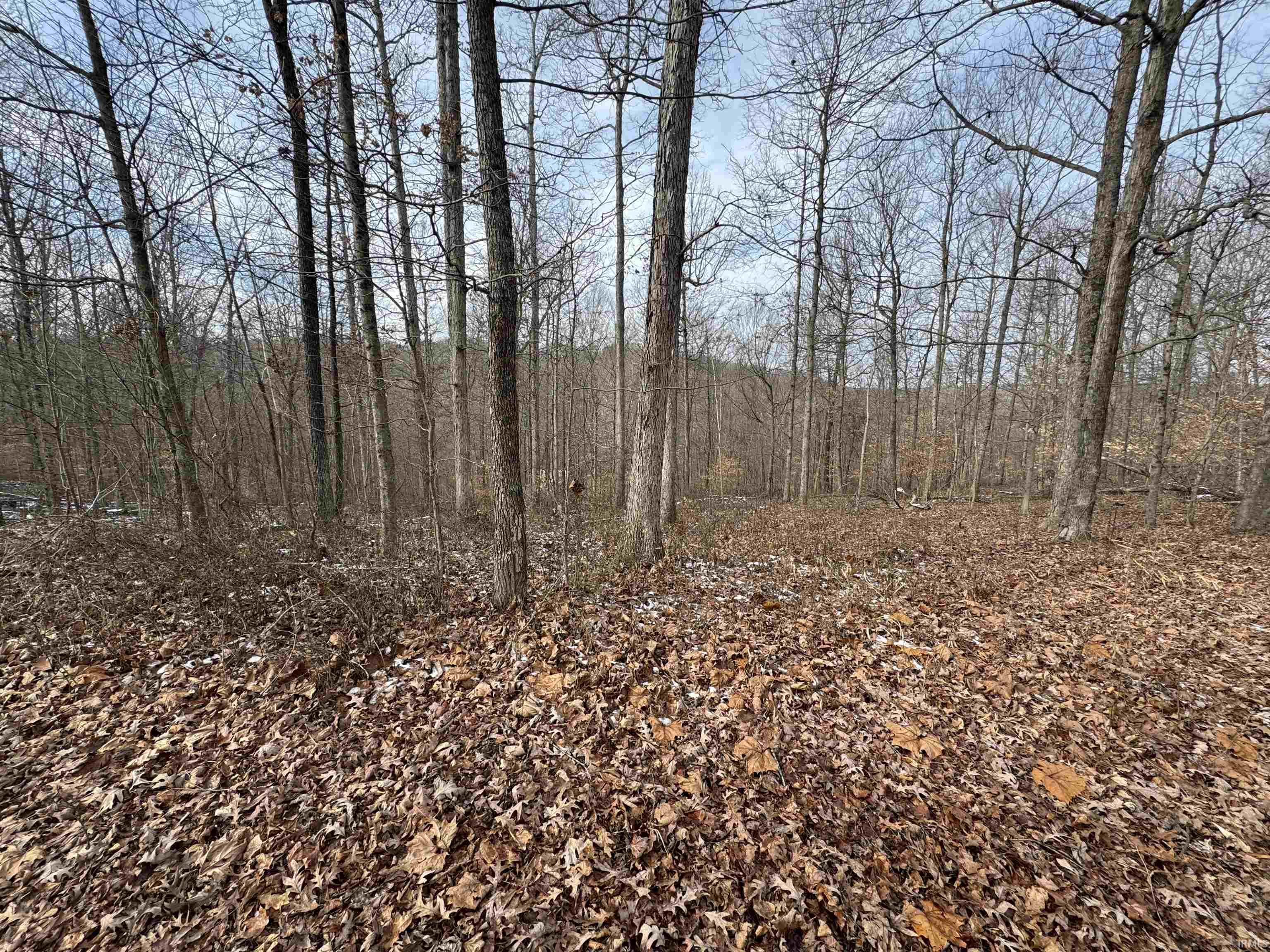 Tbd Huron Pike Road Mitchell, IN 47446 - Photo 5 of 7
