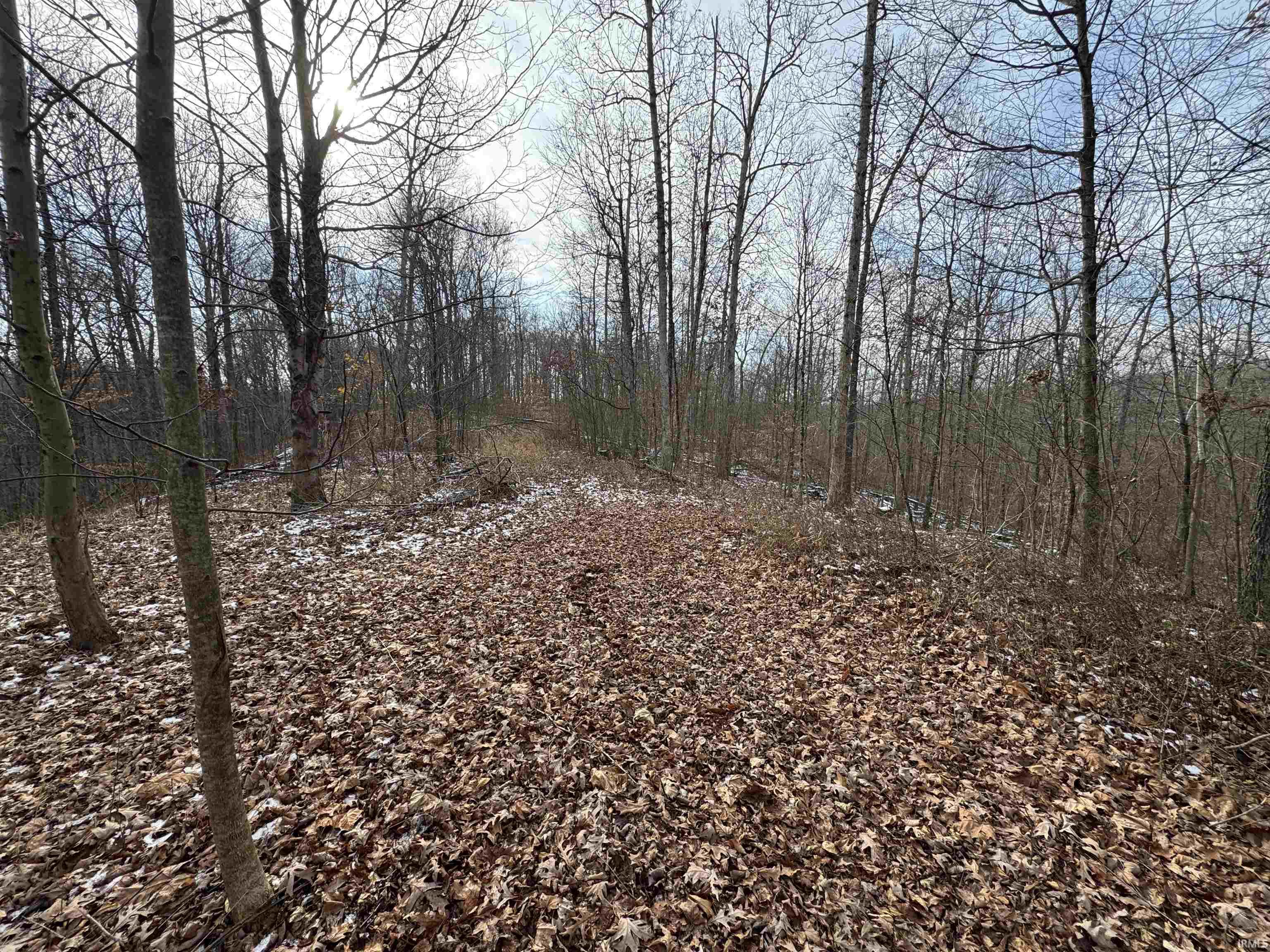 Tbd Huron Pike Road Mitchell, IN 47446 - Photo 6 of 7