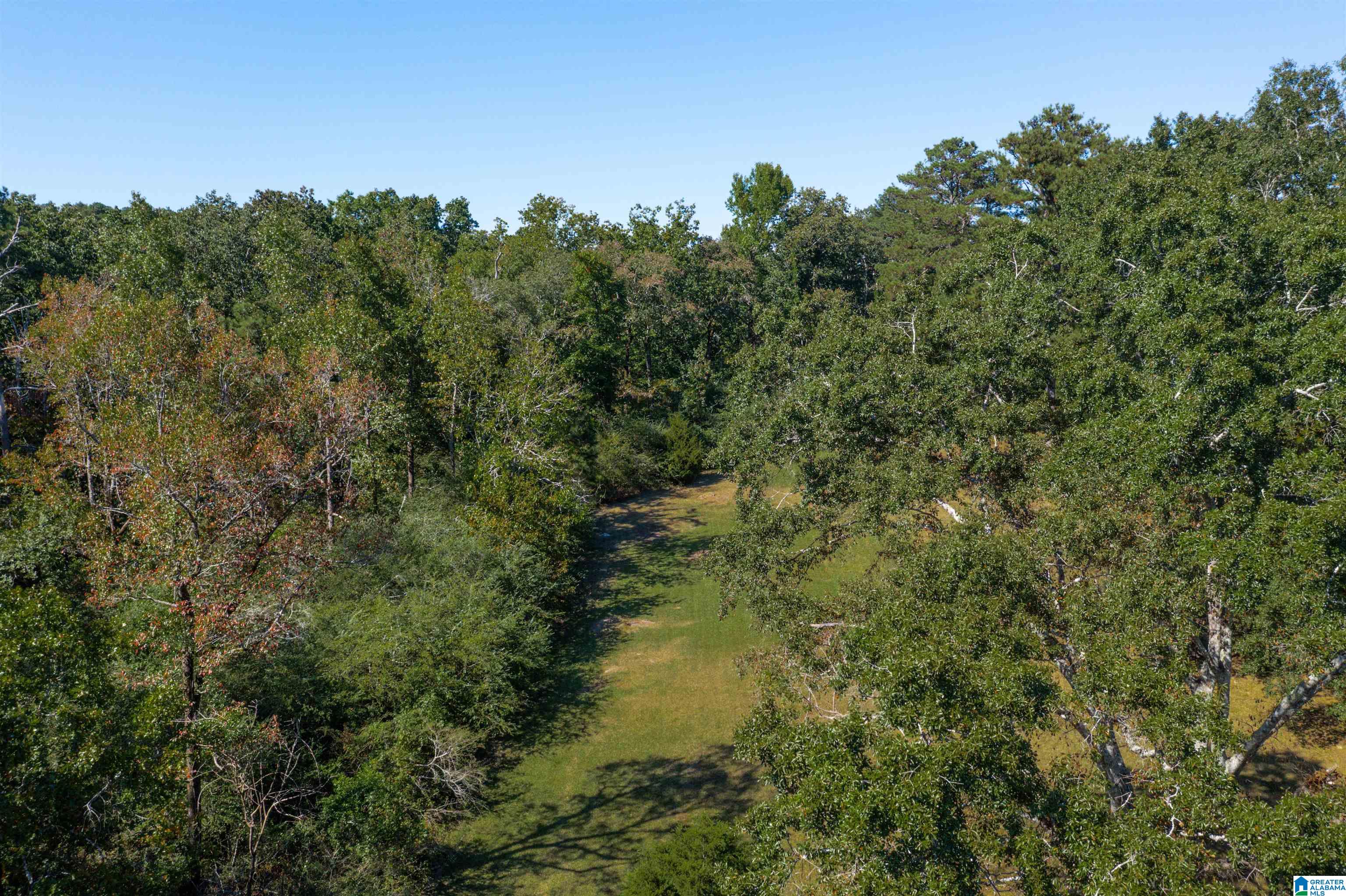 916 Hitching Post Lane Birmingham, AL 35210 - Photo 39 of 50