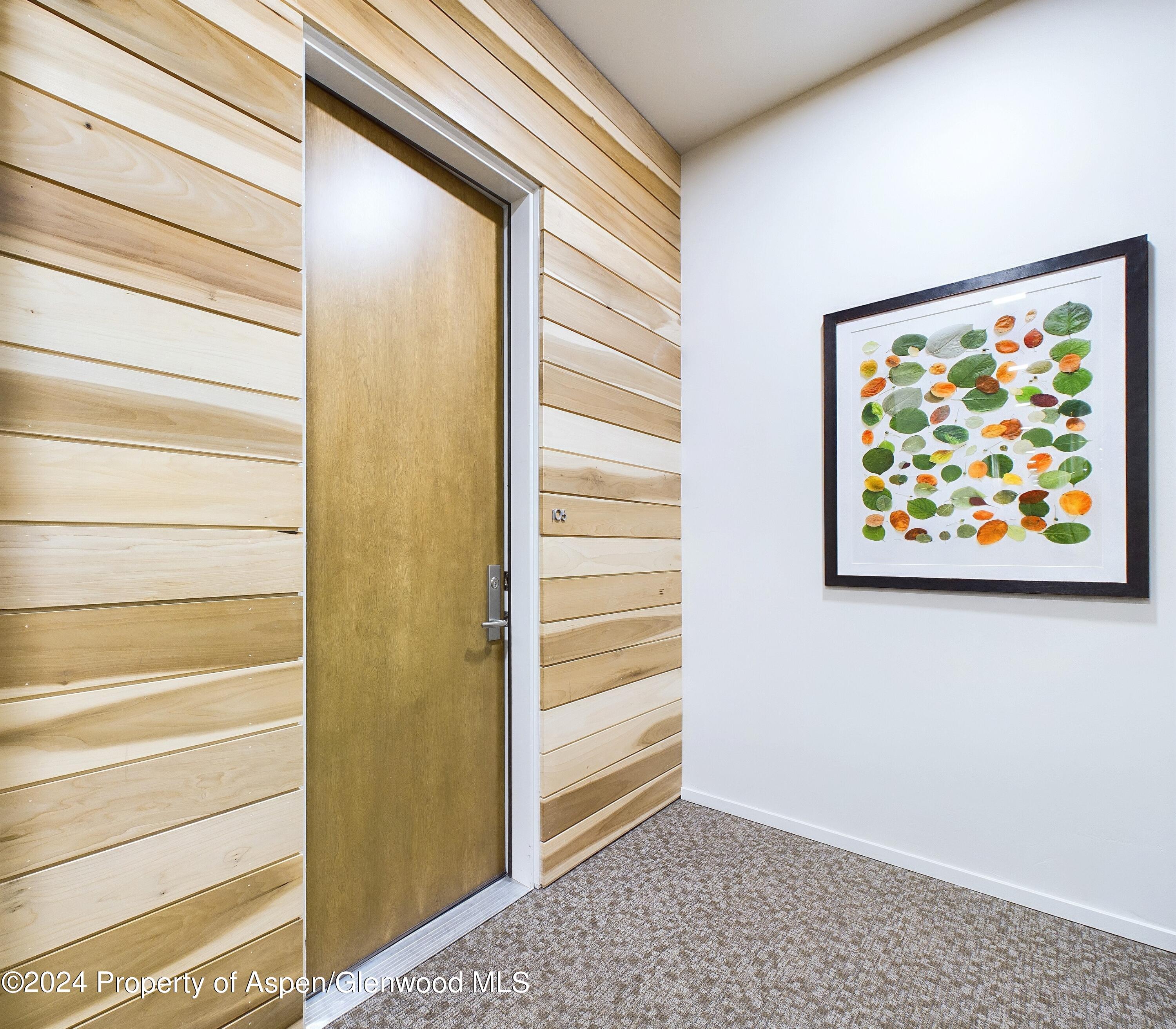 100 Evans Road, Unit 105 Basalt, CO 81621 - Photo 2 of 20 a view of painting on the wall