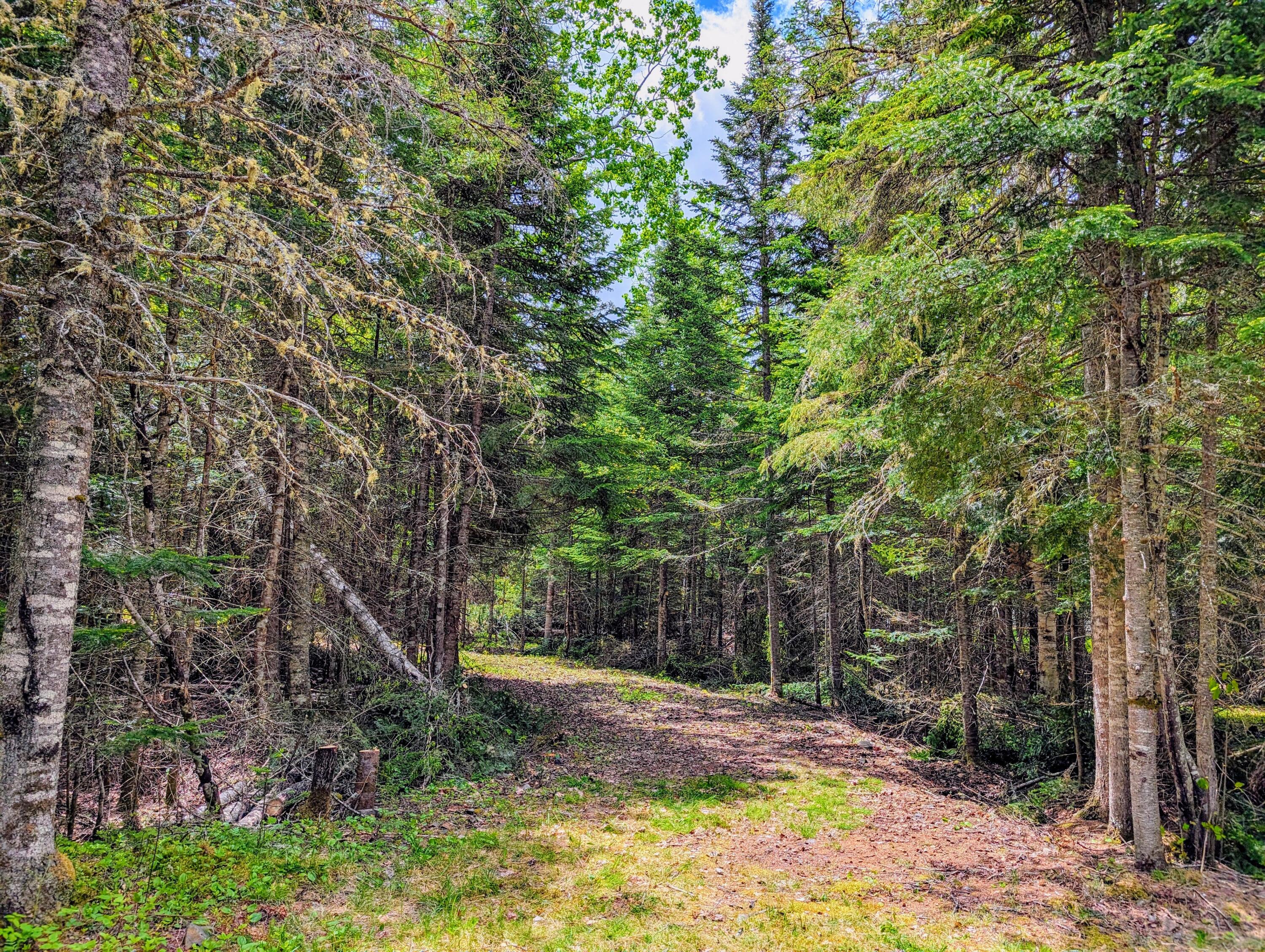 Lot 27-12 Winter Road Rangeley, ME 04970 - Photo 9 of 33 2.6 Acres on Winter Road in Rangeley!