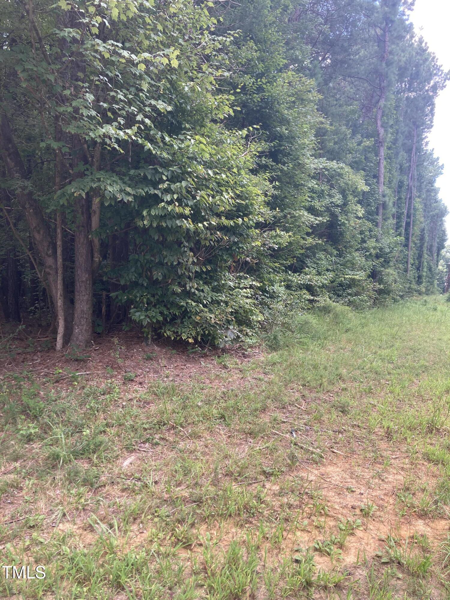 a view of a yard with a tree