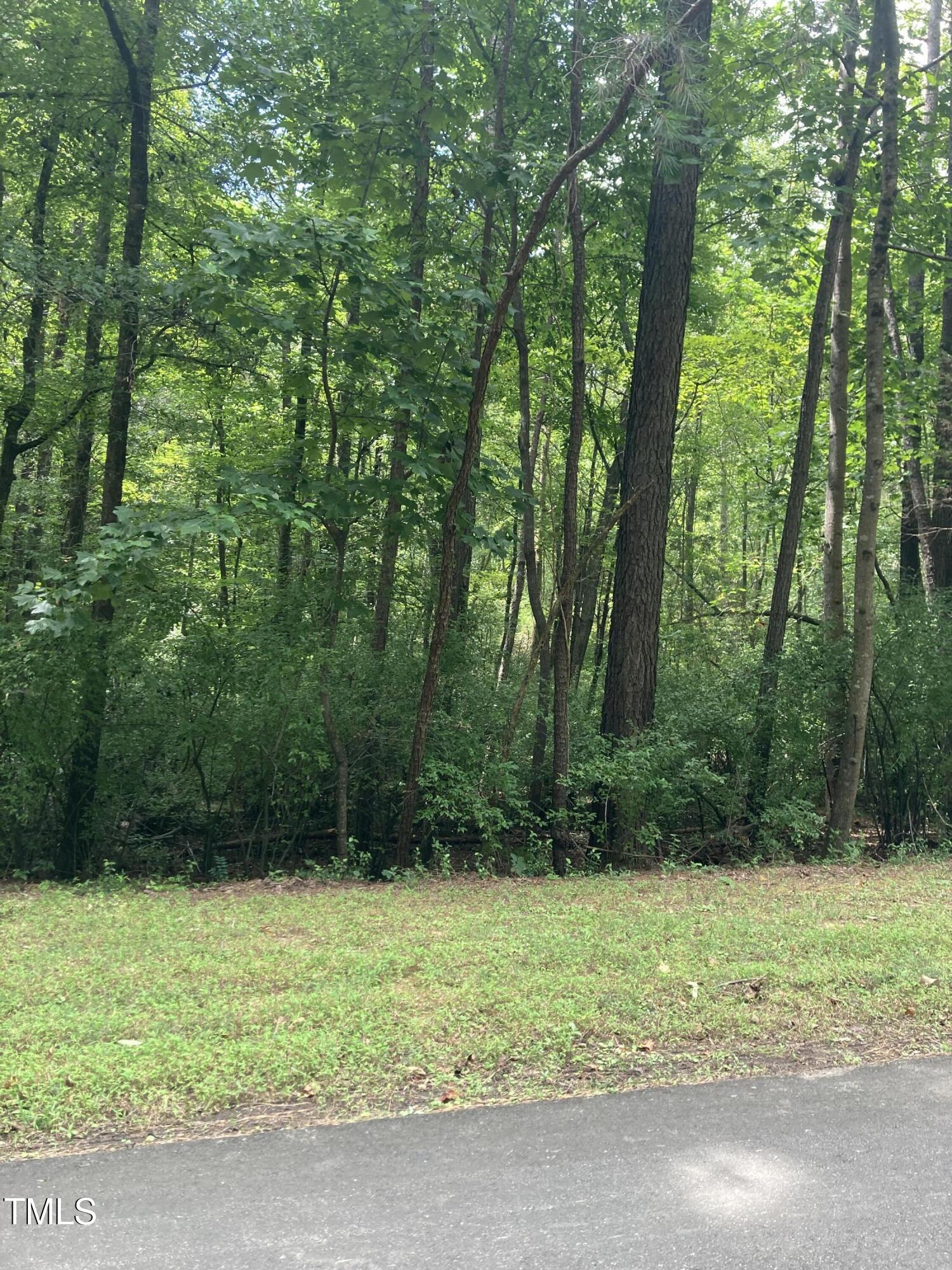 1614 Jones Ferry Road Chapel Hill, NC 27516 - Photo 5 of 5 a view of backyard with green space