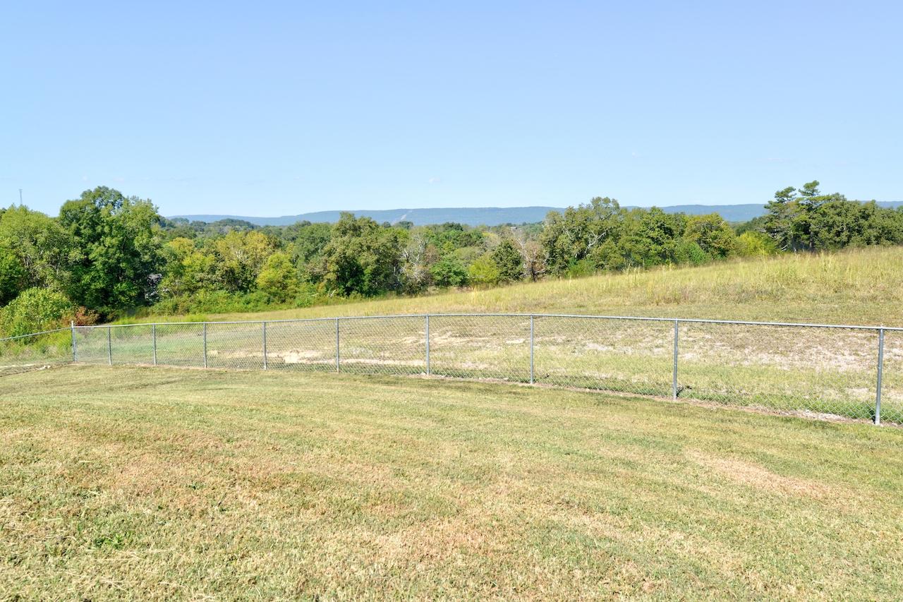 1027 Grassy Branch Road Dayton, TN 37321 - Photo 29 of 32 29-1027 Grassy Branch Yard 1