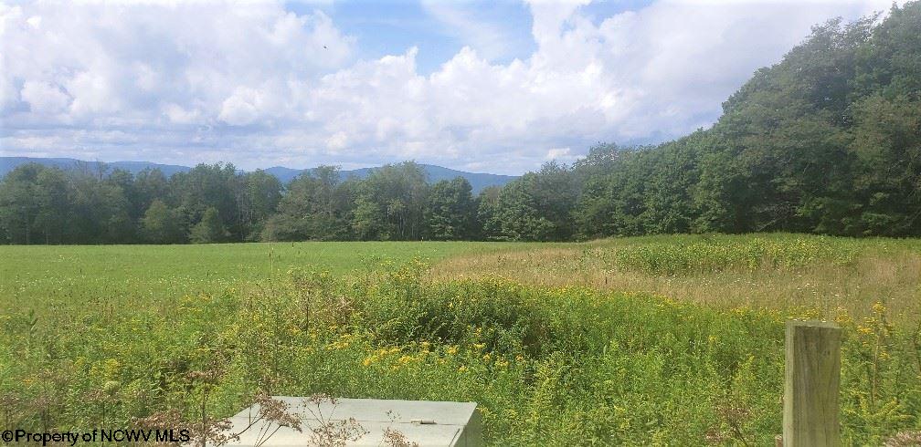 36 Pointy Knob Road Davis, WV 26260 - Photo 3 of 11 Gallery Image 3
