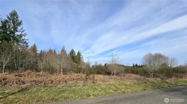 $600,000 | 0 Garden Hill Road East, Elma, WA 98541
