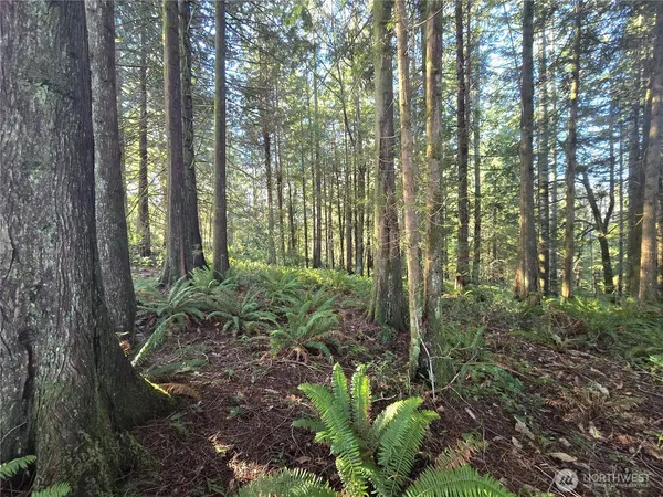 $600,000 | 0 Garden Hill Road East, Elma, WA 98541