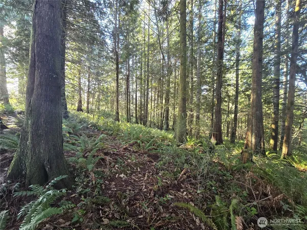 $600,000 | 0 Garden Hill Road East, Elma, WA 98541