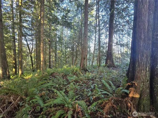 $600,000 | 0 Garden Hill Road East, Elma, WA 98541