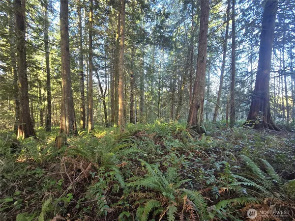 $600,000 | 0 Garden Hill Road East, Elma, WA 98541