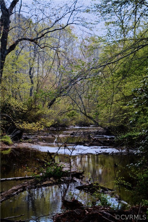 0 Deep Bottom Road Henrico, VA 23231 - Photo 11 of 23 Four Mile Creek. Lots of creek frontage on the pro