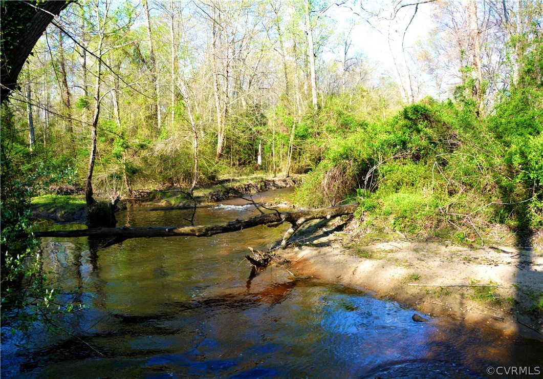 0 Deep Bottom Road Henrico, VA 23231 - Photo 14 of 23 Four Mile Creek