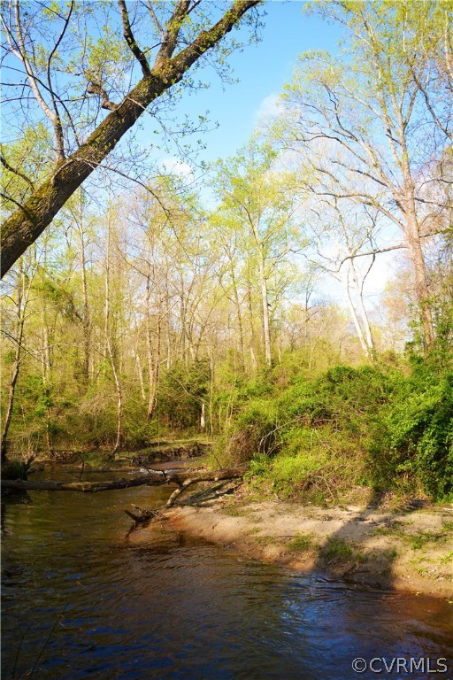 0 Deep Bottom Road Henrico, VA 23231 - Photo 15 of 23 Four Mile Creek