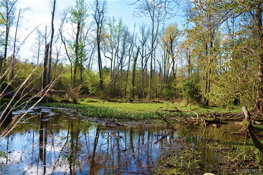 0 Deep Bottom Road Henrico, VA 23231 - Photo 20 of 23 Small beaver pond