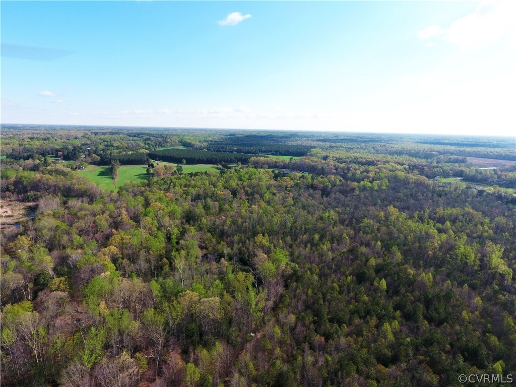 0 Deep Bottom Road Henrico, VA 23231 - Photo 21 of 23 Aerial view toward Kingsland Rd