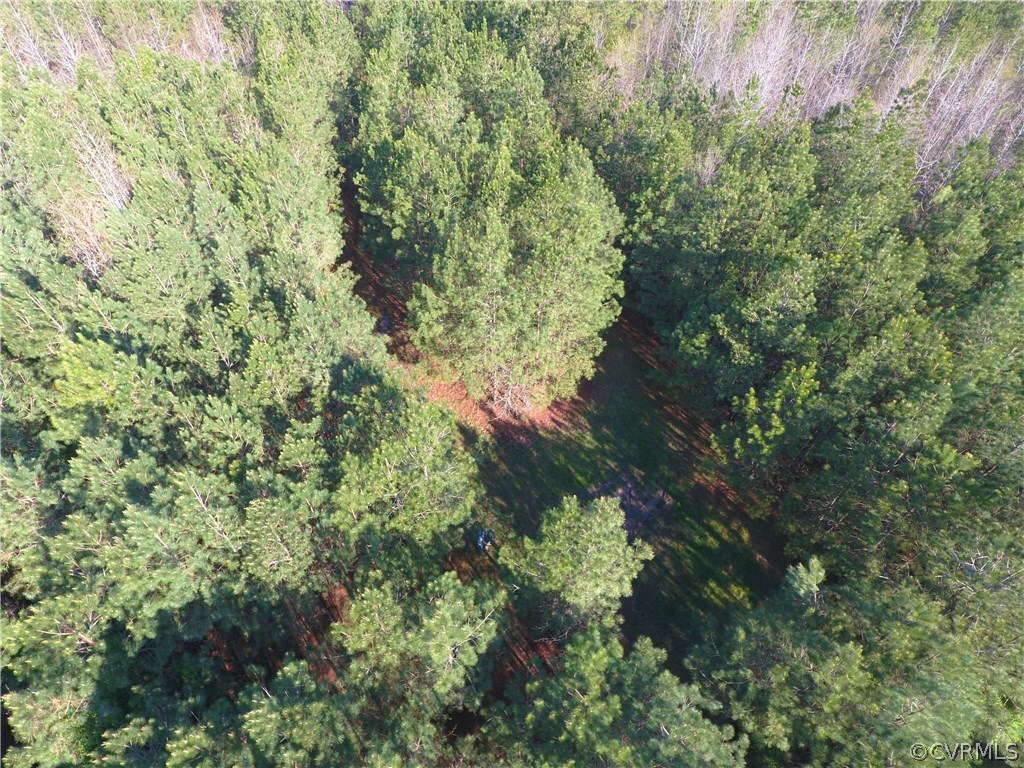 Clearing off of loop road